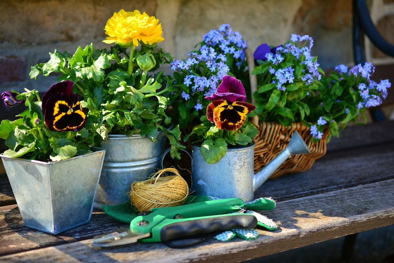 Jak ożywić swój dom przy pomocy barwnych kwiatów?